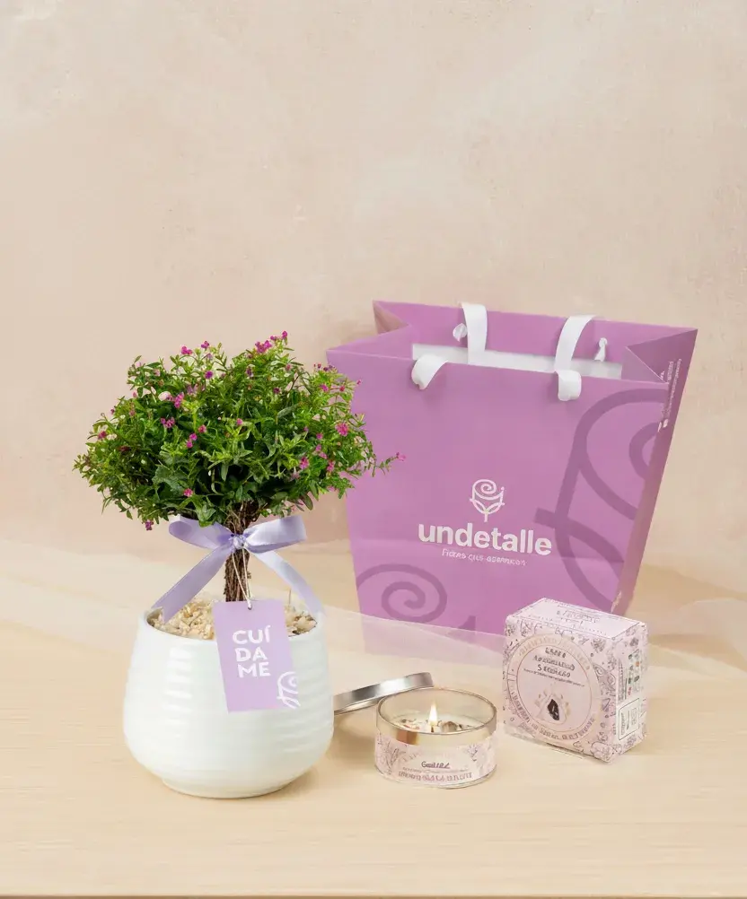 box-de-velas-con-cuarso-y-el-arbol-de-la-felicidad