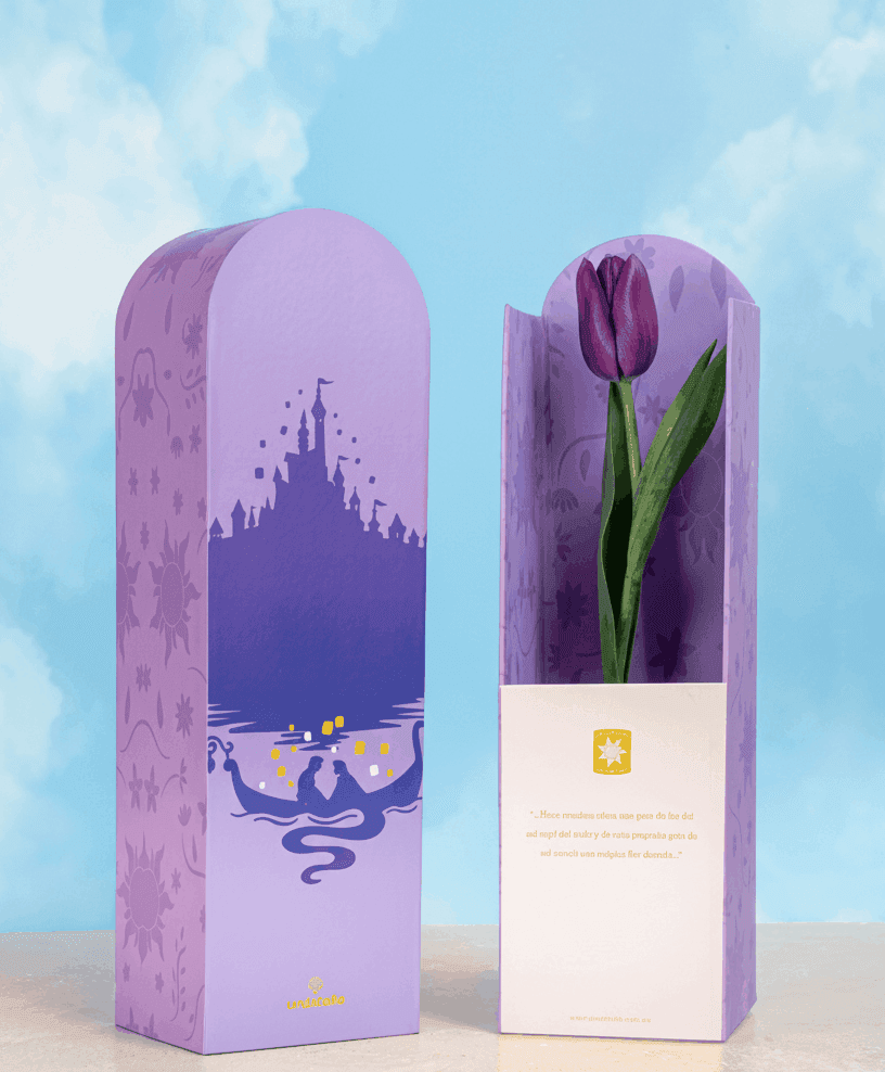 caja-enredados-de-tulipan-morado