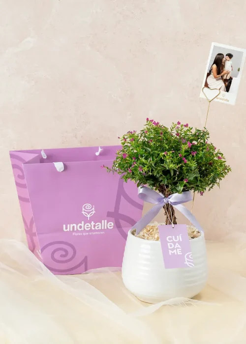 arbol-de-la-felicidad-con-foto