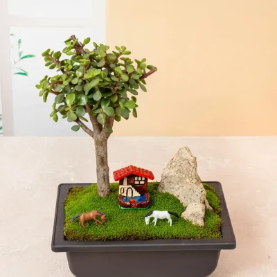 bonsai-de-arbol-de-abundancia bonsai-de-arbol-de-abundancia