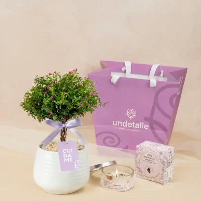 box-de-velas-con-cuarso-y-el-arbol-de-la-felicidad box-de-velas-con-cuarso-y-el-arbol-de-la-felicidad