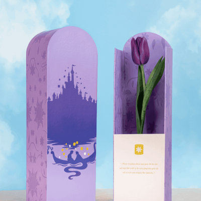 caja-enredados-de-tulipan-morado caja-enredados-de-tulipan-morado