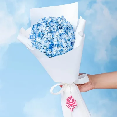ramo-petit-de-hortensia-celeste